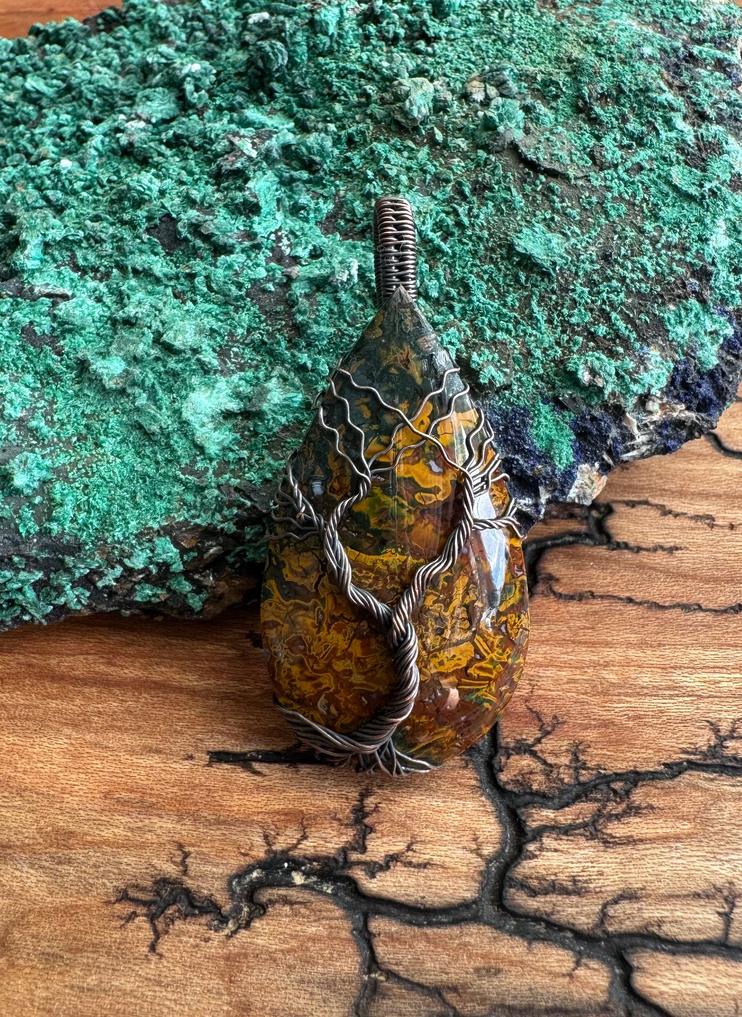 Whisperwood Collection || Multi-Color Plume Agate