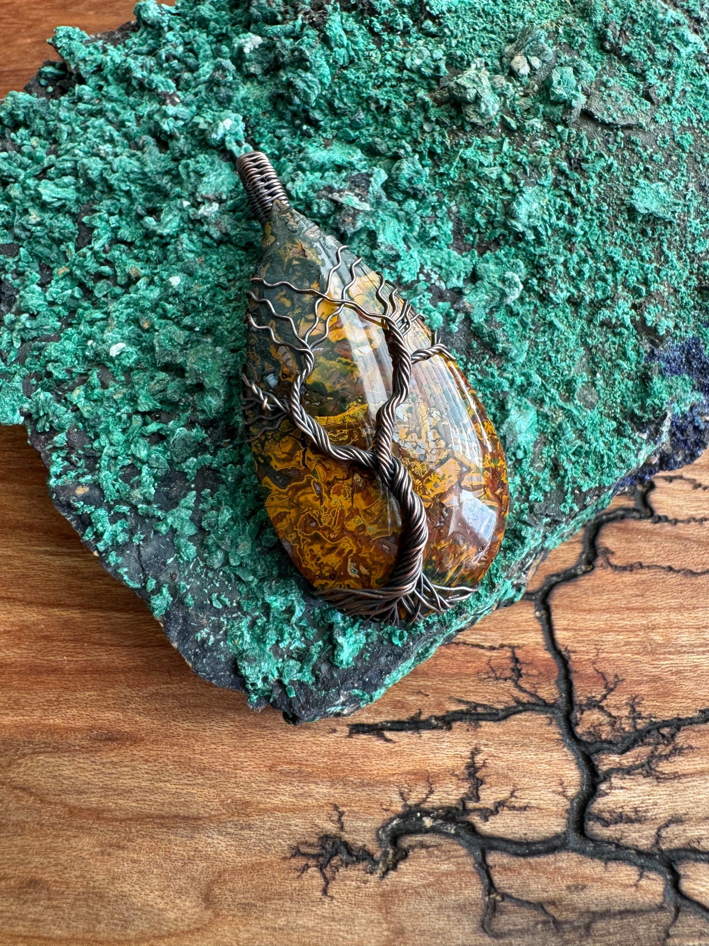 Whisperwood Collection || Multi-Color Plume Agate