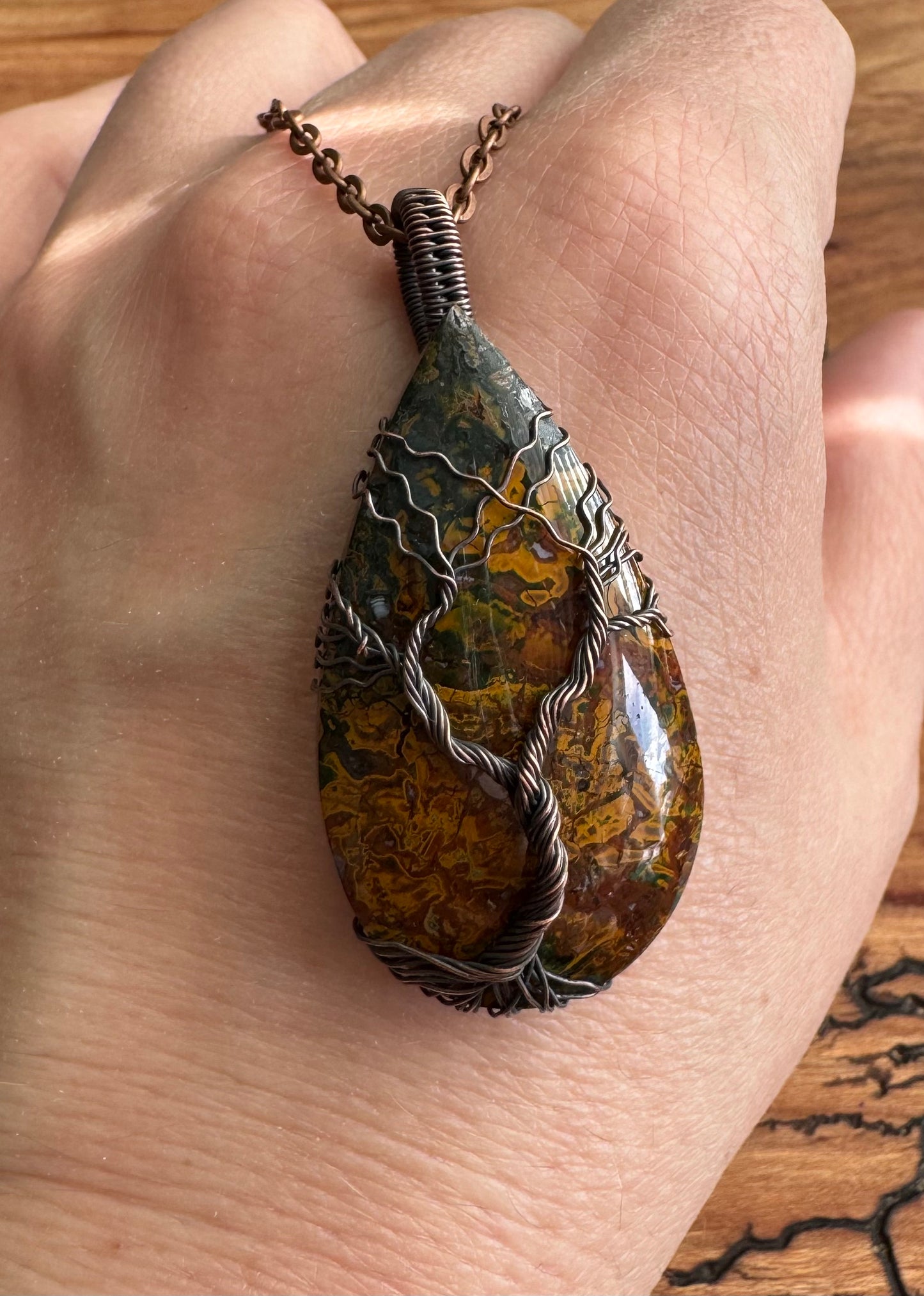 Whisperwood Collection || Multi-Color Plume Agate