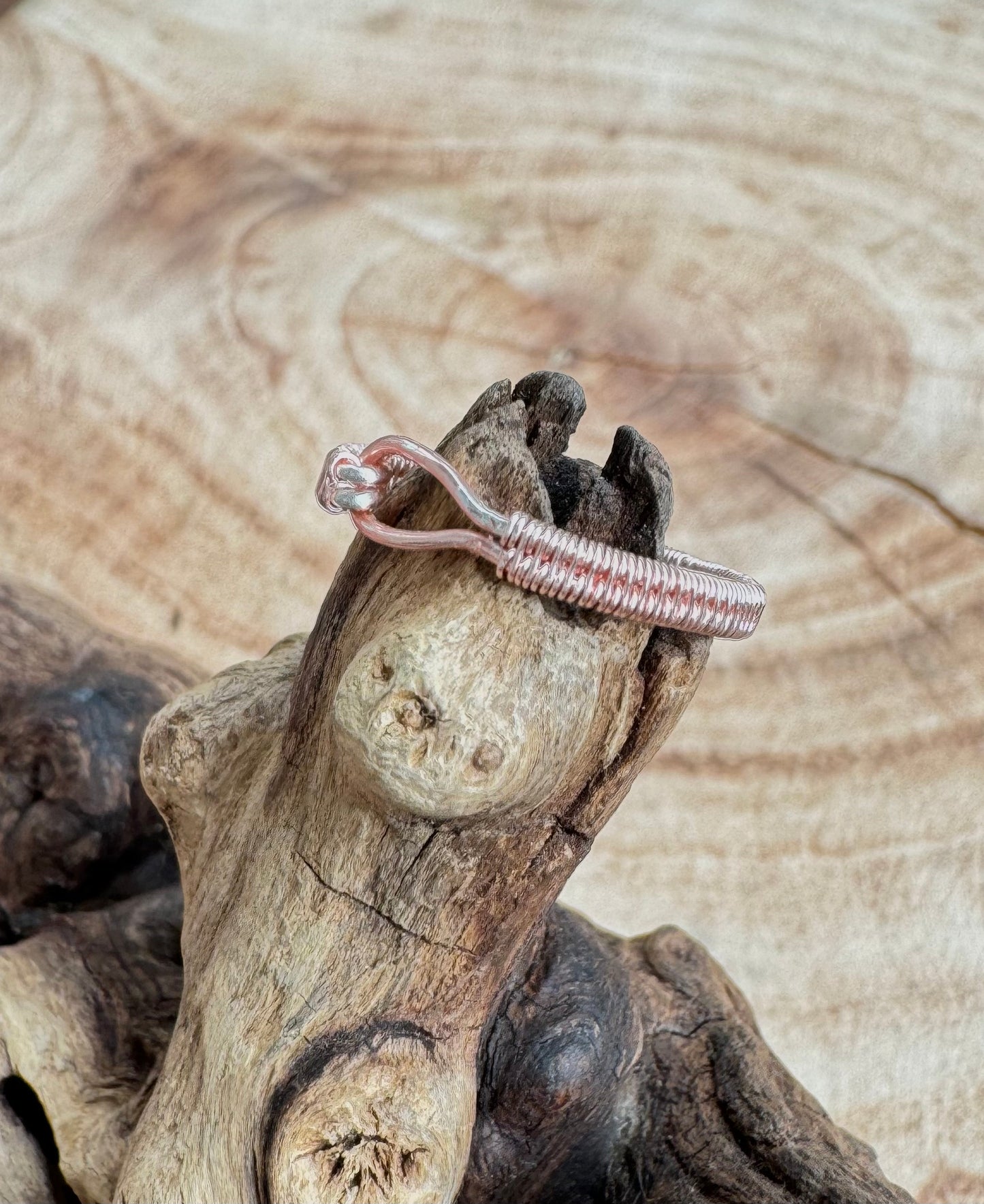 Simple Loop Wire Wrapped Ring