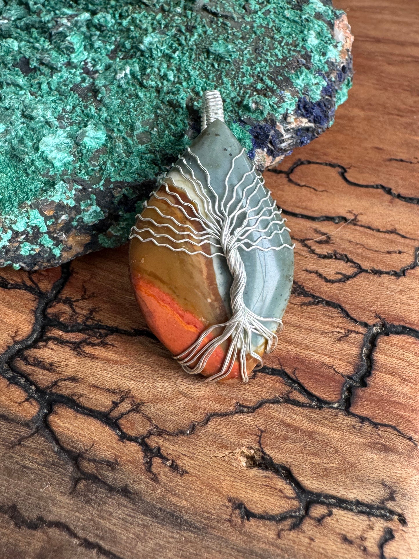 Whisperwood Collection || Polychrome Jasper