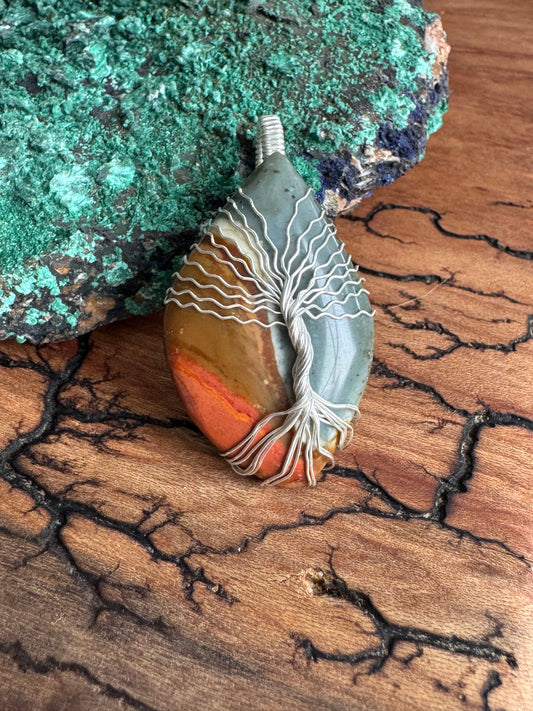 Whisperwood Collection || Polychrome Jasper