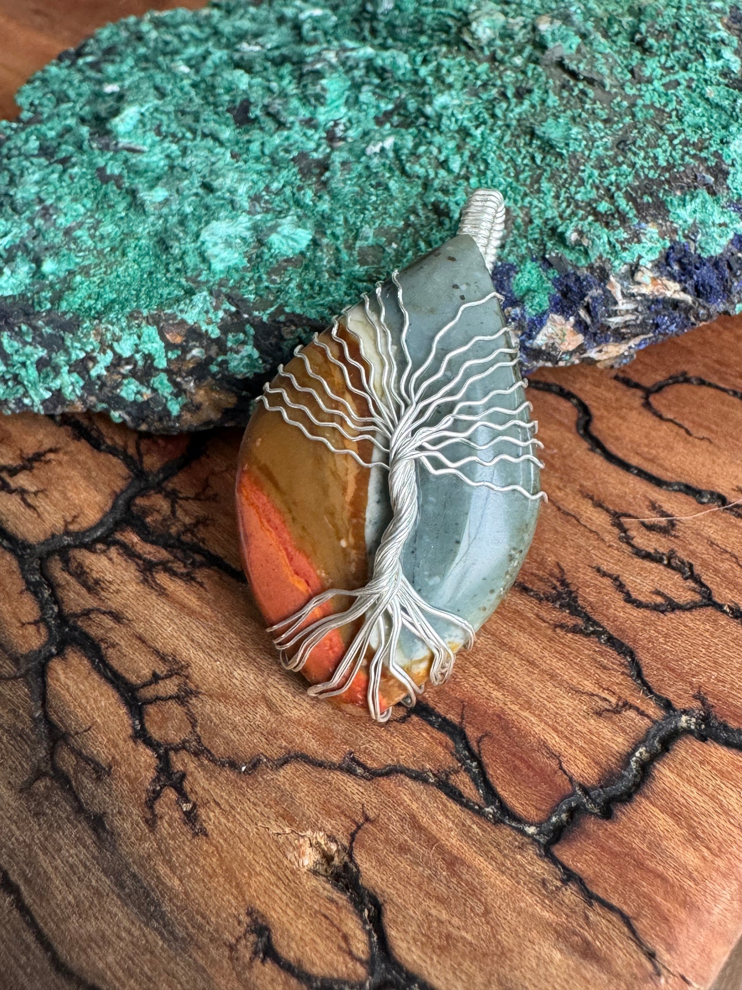 Whisperwood Collection || Polychrome Jasper