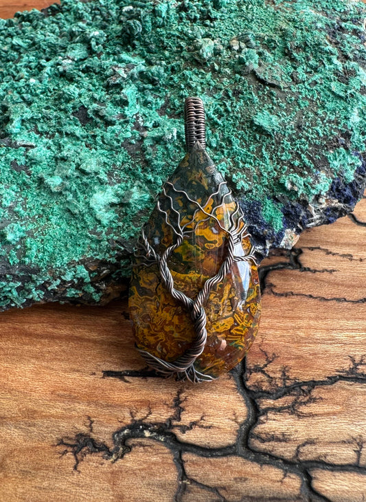 Whisperwood Collection || Multi-Color Plume Agate