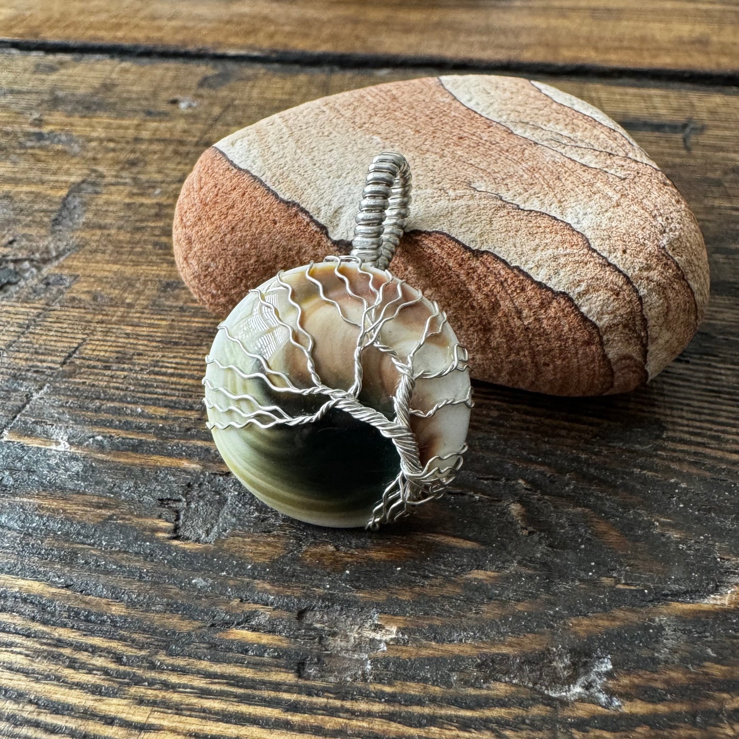 Whisperwood: The Timekeeper || Shiva Shell Pendant