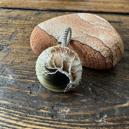 Whisperwood: The Timekeeper || Shiva Shell Pendant