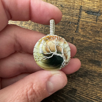 Whisperwood: The Timekeeper || Shiva Shell Pendant