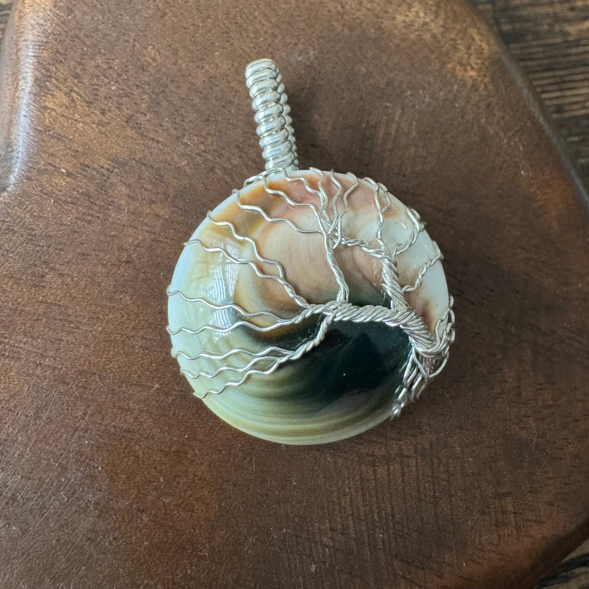 Whisperwood: The Timekeeper || Shiva Shell Pendant